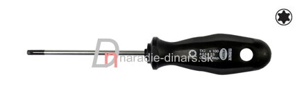 Torx skrutkovač TX 6